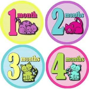  Playful Kitty Cats Monthly Baby Bodysuit Stickers: Baby