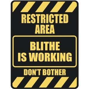   RESTRICTED AREA BLITHE IS WORKING  PARKING SIGN