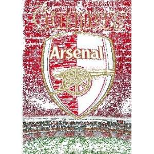   Football Posters: Arsenal   Crest 3D Poster   67x47cm: Home & Kitchen