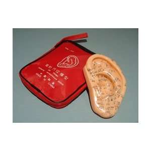  Mini Ear Model of Acupuncture Points Health & Personal 