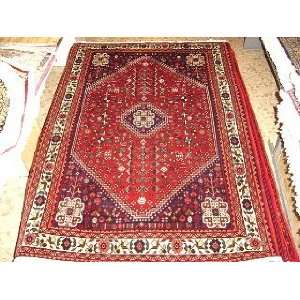    3x5 Hand Knotted Abadeh Persian Rug   50x35: Home & Kitchen
