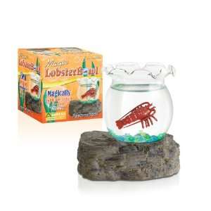  Fascinations Magic Lobster Bowl: Toys & Games