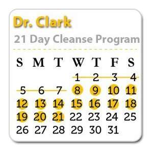  21 Day Cleanse Program 8 21: Health & Personal Care