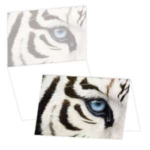 ECOeverywhere Eye of the Tiger, Blue Eye Boxed Card Set, 12 Cards and 
