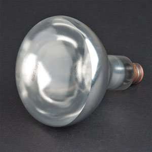  250 Watt Clear Teflon Coated Heat Lamp Light Bulb: Home 