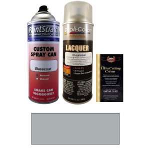   Spray Can Paint Kit for 1966 Chevrolet Truck (522 (1966)): Automotive