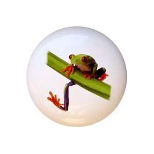  Red eyed Tree Frog Frogs Drawer Pull Knob: Home 