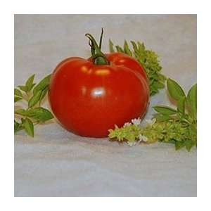  Organic Celebrity Tomato   1/128oz. Bulk Vegetable Seed 