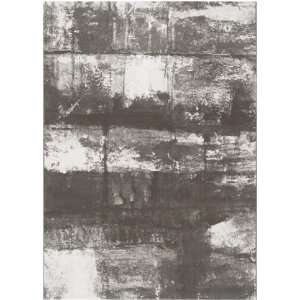  Surya Contempo CPO 3700 3 11 x 5 7 Area Rug