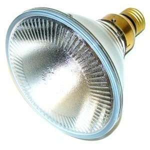     45PAR38/SP/120V   45 Watt PAR38 Spot Light Bulb: Home Improvement