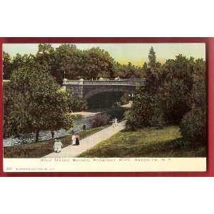  Postcard Walk Under Bridge Prospect Park Brooklyn New York 