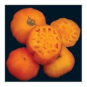  Dr. Wyches Yellow Tomato Seeds