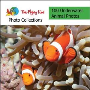  Underwater Animals of the World Photo Collection for 