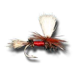 Parachute Royal Wulff Fly Fishing Fly 