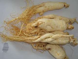 1kg Chinese changbai mountain White ginseng Root /Roots  