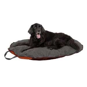  Dog Whisperer with Cesar Millan Pet Bed: Pet Supplies