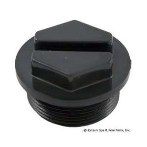    86203300   PENTAIR   Plug, winterizing, black Patio, Lawn & Garden