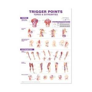   Chart   Torso & Extremities  Industrial & Scientific