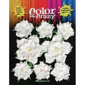    Color Me Crazy Flowers 8/Pkg Wild Roses Arts, Crafts & Sewing