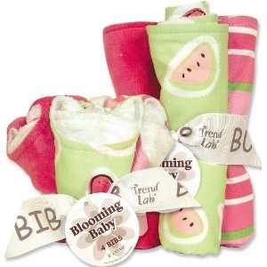  Jucie Fruit Bib and Burp Cloth Bouquet Set Red Everything 