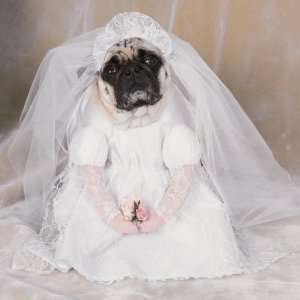  Bride Dog Halloween Costume (Small): Pet Supplies