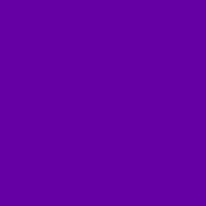  Delta Air Dry PermEnamel Paints royal purple