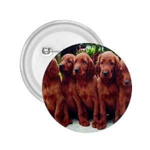  Irish Setter Puppy Dog 2 2.25in Button D0695: Everything 