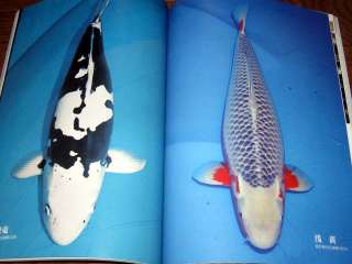 Fish Book Japanese Koi Display and Catalogue 0612  