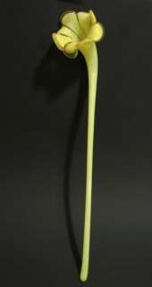 Murano Glassware Crystal Clear Long Stem Flower 21 3/4  