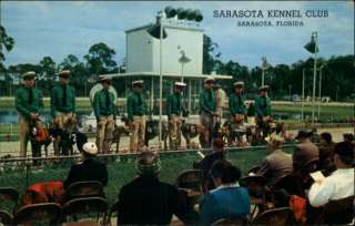 SARASOTA FL Greyhound Dog Racing Old Postcard  