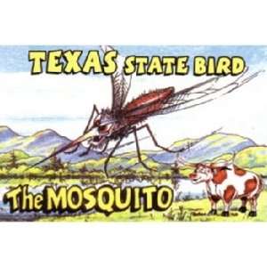  382896   Texas Postcard Tx101 Texas State Bird Case Pack 