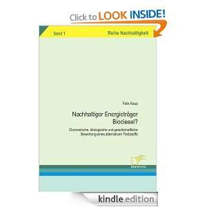   eines alternativen Treibstoffs (Reihe Nachhaltigkeit) (German Edition