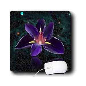  Edmond Hogge Jr Floral   Iris Candle   Mouse Pads 
