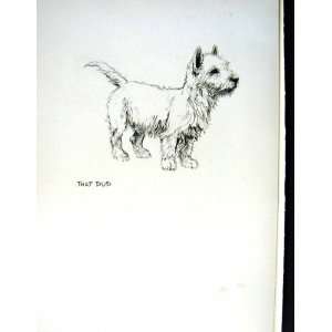    c1933 DOGS SKETCH BARKER TERRIER PUPPY COUNTRY FUN