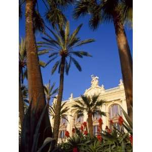 Palm Trees and Flowers in Front of the Casino at Monte Carlo, Monaco 