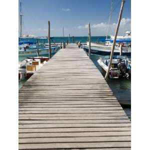  Fishing Boats Moored, Isla Mujeres, Quintana Roo, Mexico 