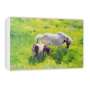  Piebald horse and foal (oil on board) by   Canvas 