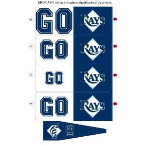   Tampa Bay Devil Rays Animated 3 D Auto Spin Flags: Sports & Outdoors