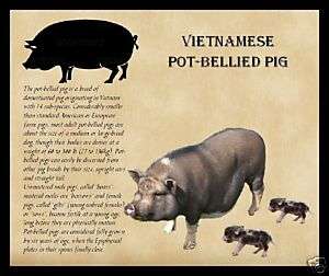 VIETNAMESE POT BELLIED PIG MOUSE MAT MOUSEMAT PAD  