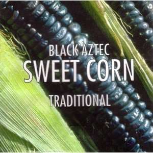  Organic Black Aztec Sweet Corn 120 Seeds Rare Patio, Lawn 