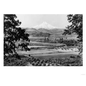  Mt. Hood from Hood River Valley Photograph   Mt. Hood, OR 