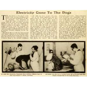 1920 Article Veterinary Medicine Technology Electricity 
