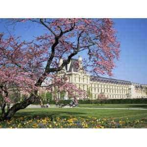  Jardin Des Tuileries and Musee Du Louvre, Paris, France 