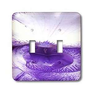   Purple and White Iris   Light Switch Covers   double toggle switch