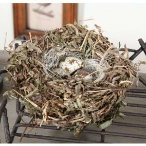  Round Twig Bird Nest with Eggs