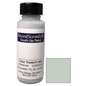  1 Oz. Bottle of Mercury Silver Metallic Touch Up Paint for 