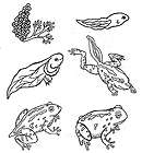 TEACHERS UNDERSEA SOFT HANDLED RUBBER STAMP SET RW1013 items in 