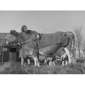  A Woman Standing in a Pasture and Placing a Coat on Her Cow 