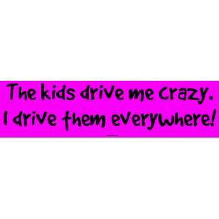  The kids drive me crazy. I drive them everywhere Large 
