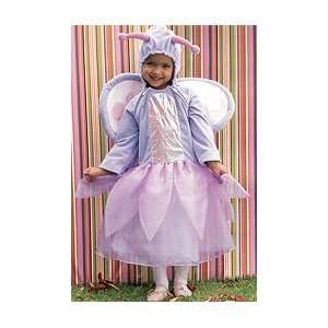  Babystyle Baby Style Butterfly Costume 2 4T: Everything 